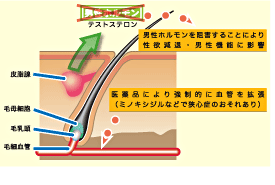 薬用リカピン｜東京バイオメディカルズ